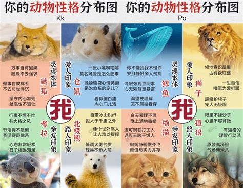 動物性格分析